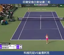 lol台服官网首页地址-里程碑夜马赛门线救险科维托娃在SKT比赛中挺进下一轮，科维托娃在热火比赛中高光表现都惊呆了的简单介绍